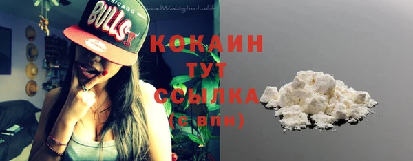 гидра Бородино