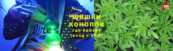гидра Бородино
