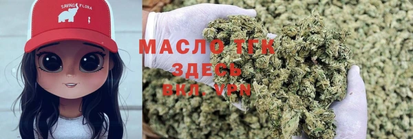 гидра Бородино