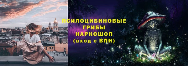 мдпв Бугульма