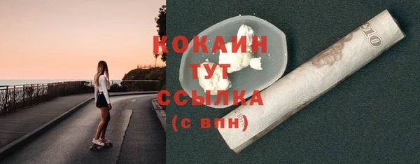гидра Бородино
