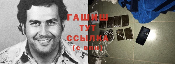 гидра Бородино